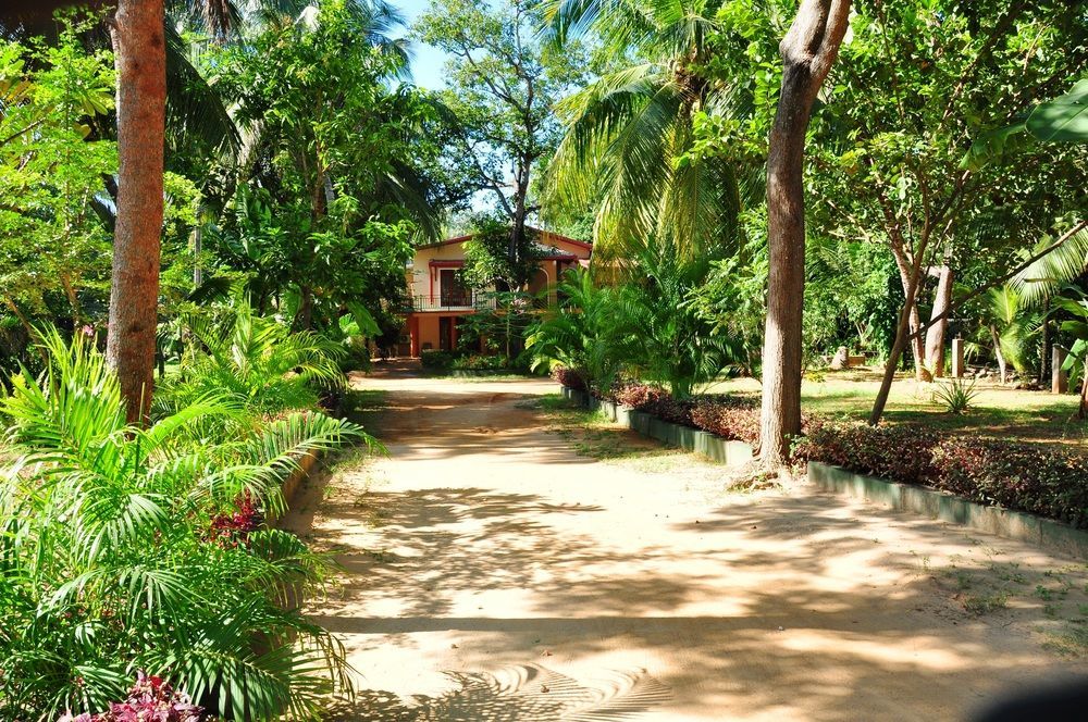 Leopard City Hostel Tissamaharama Exterior foto